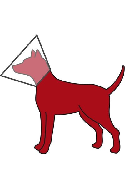 Trixie Dog Protective Collar S 25-32cm/12cm