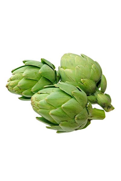 Fide Sepeti Enginar Tohumu 1gr 1 Paket