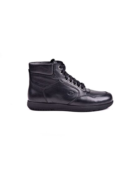 Dexter Portland At253-1