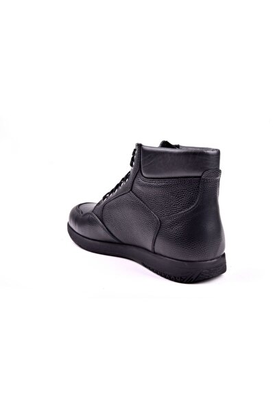 Dexter Portland At253-1