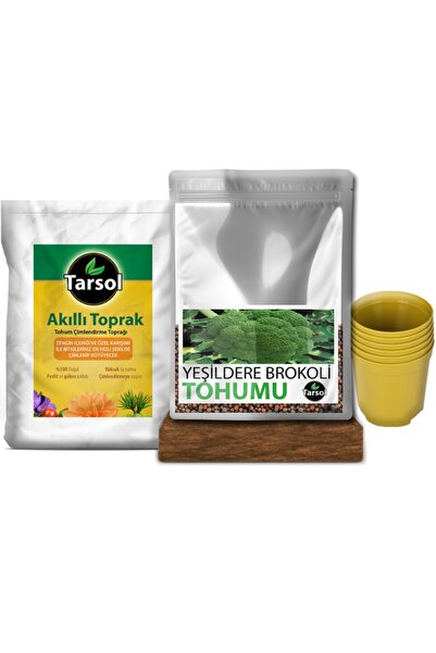 TARSOL TARIM Brokoli Tohumu 30 Adet Toprak Ve Saksı Seti