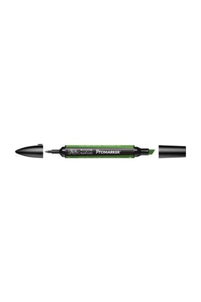 Winsor Newton Winsor & Newton Promarker Pen Forest Green G356
