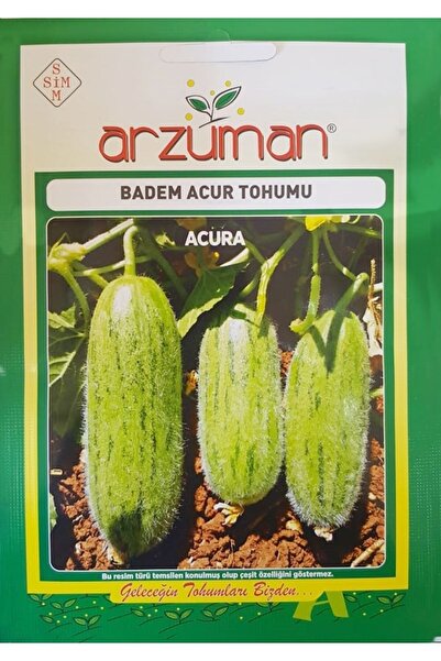 Arzuman Acur Tohumu (10 GR) Yeşil-uzun Tip