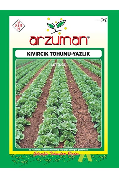 Arzuman Yazlık Marul - Kıvırcık Tohumu (10 Gr)
