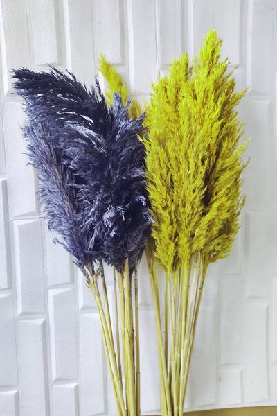 EÇiçek Şoklanmış Pampas Otu Sarı Lacivert Kuru Çiçek