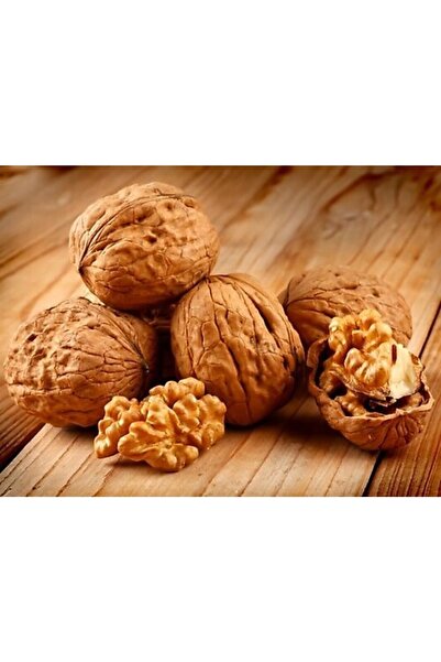 TicaretDenizi İnce Kabuk Tokat Niksar İçi Beyaz İri Taze Günlük Kabuklu Aşı C...