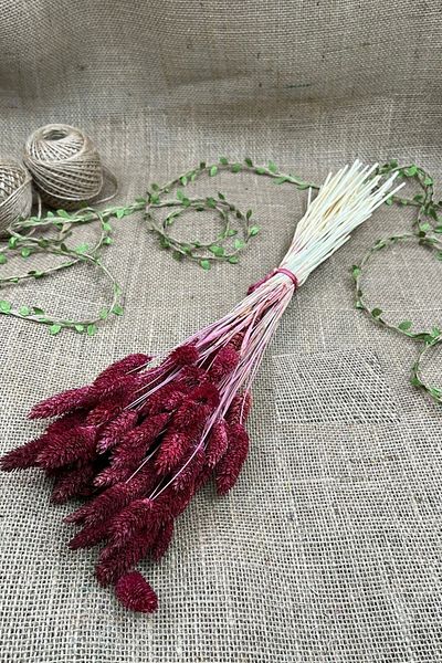 Hobigram Τεχνητό λουλούδι Dark Burgundy Bird's Eye Palaris Αποξηραμένο λουλούδι – Τεχνητό & ξηρό λουλούδι, κομψό σχέδιο – Τεχνητό λουλούδι