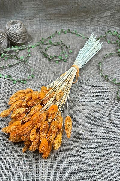 Hobigram Τεχνητό λουλούδι Πορτοκαλί Bird's Foot Palaris Αποξηραμένο Λουλούδι – Τεχνητό & Ξηρό Λουλούδι, Κομψό Σχέδιο – Τεχνητό Λουλούδι