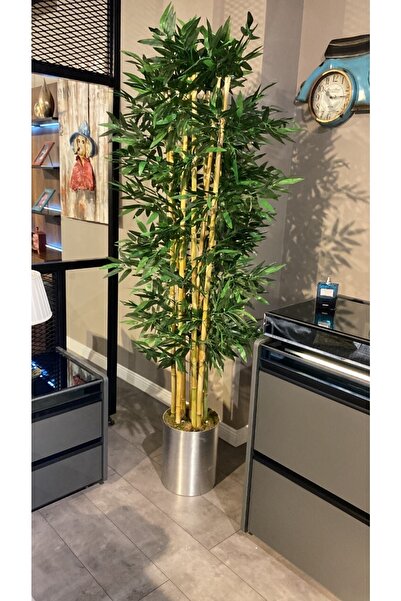 Genel Markalar Bambu Ağacı 170 Cm