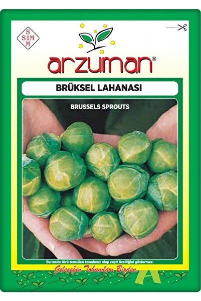 Arzuman Brüksel Lahanası Tohumu (200 ADET)
