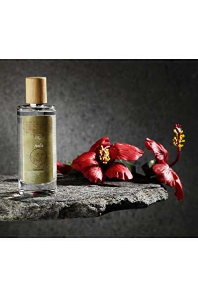 Luvilavant Dioscorides Serisi Amber Parfüm Kolonya 100 Ml 80 Derece Cam Şişe Sprey