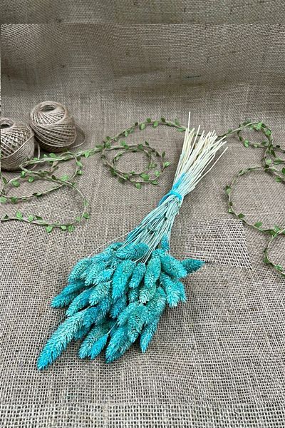 Hobigram Τεχνητό λουλούδι Water Green Bird's Foot Palaris Αποξηραμένο λουλούδι – Τεχνητό & Ξηρό Λουλούδι, Κομψό Σχέδιο – Τεχνητό Λουλούδι