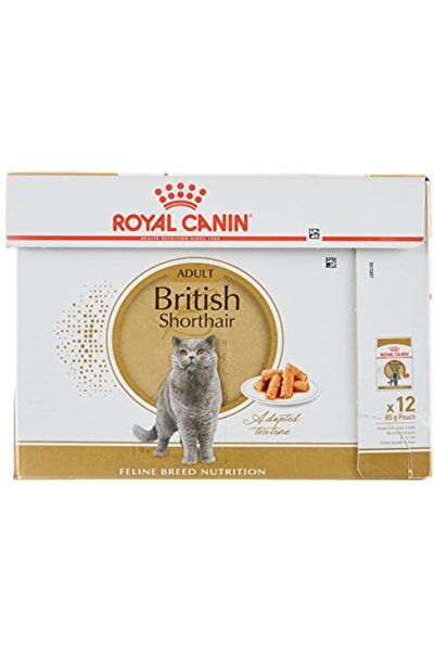 Royal Canin British Shorthair Konserve 85 Gr X 12 Adet