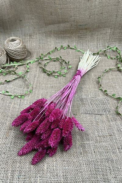 Hobigram Τεχνητό λουλούδι Cherry Color Bird's Foot Palaris Αποξηραμένο λουλούδι – Τεχνητό & Ξηρό Λουλούδι, Κομψό Σχέδιο – Τεχνητό