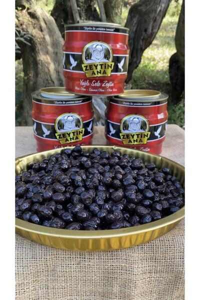 ZEYTİN ANA 3 Adet 2 Kg Gemlik Zeytini Kehribar (xs)