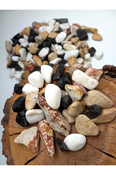 Asenya Renkli Çakıl Taşı 25 Kg 1-2 Cm Saksı Dibi Teraryum Saksı Süs Vazo Dibi...