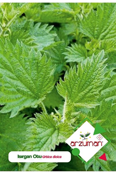 Arzuman Doğal Isırgan Otu Tohumu 100 Adet
