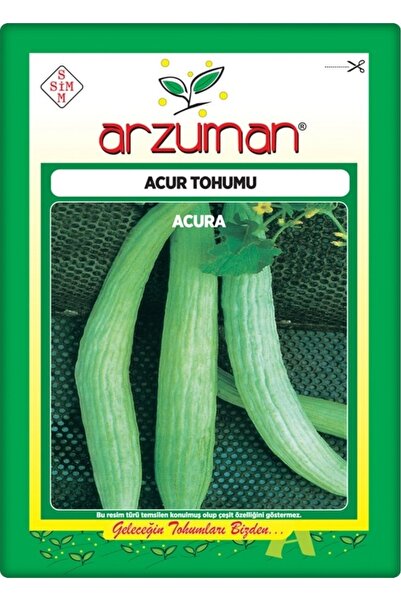 Acur Seed (10 Gr) White-long Type