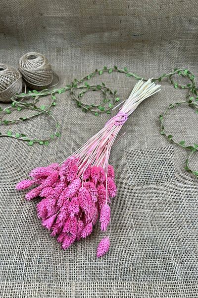 Hobigram Τεχνητό λουλούδι Pink Bird Grass Palaris Αποξηραμένο λουλούδι