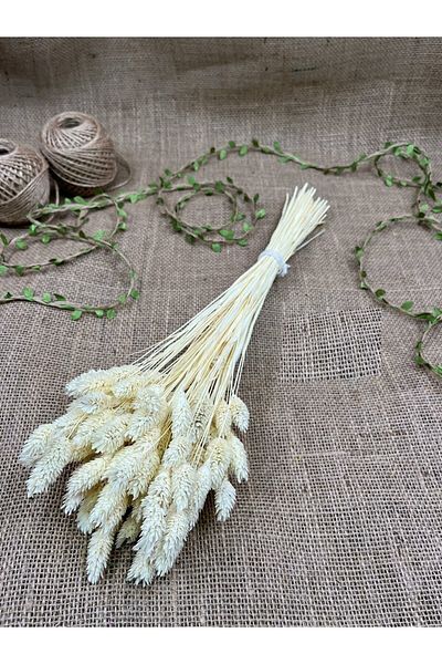 Hobigram Τεχνητό λουλούδι Κρέμα Bird's Foot Palaris Αποξηραμένο Λουλούδι – Τεχνητό & Ξηρό Λουλούδι, Κομψό Σχέδιο, Γυναικείο Αξεσουάρ