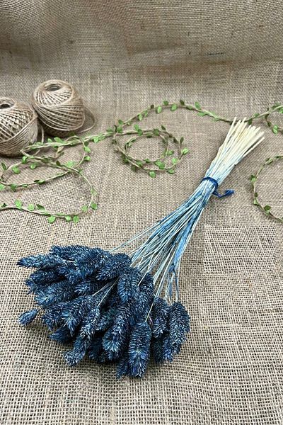 Hobigram Τεχνητό λουλούδι Navy Blue Bird's Foot Palaris Αποξηραμένο λουλούδι – Τεχνητό & Ξηρό Λουλούδι, Κομψό Σχέδιο