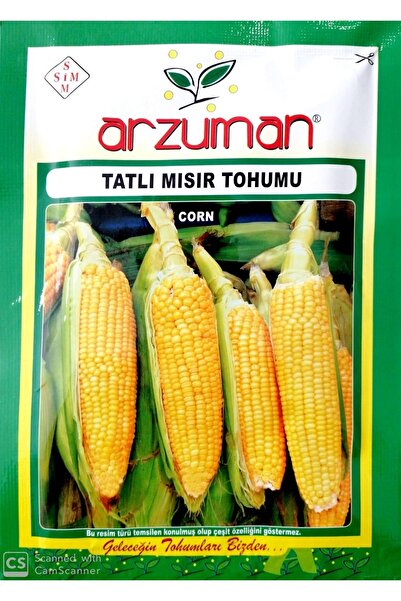 Arzuman Tatlı Mısır Tohumu 25 gr Hibrit Şeker Mısır
