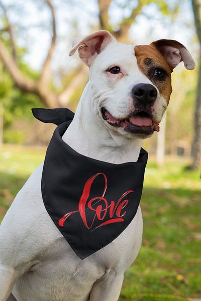 Advantage Cheerful Text Printed Dog Scarf Bandana