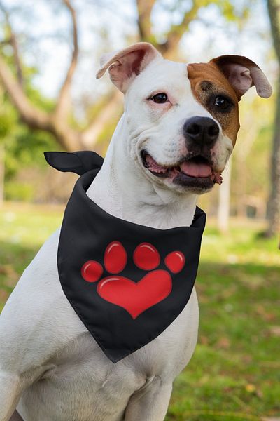 Advantage Printed Dog Scarf Bandana