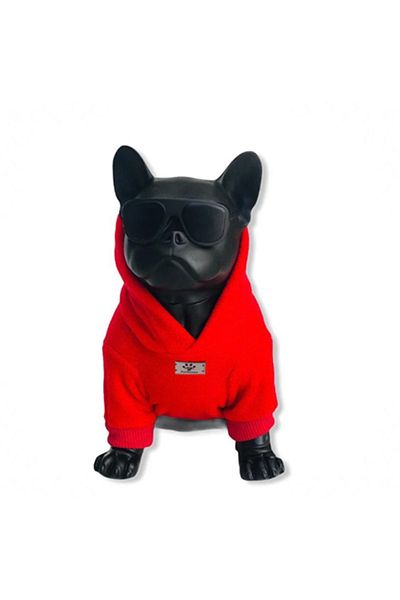 PetiliDünya Red Basic Fleece Hoodie Dog Outfit Cat Outfit