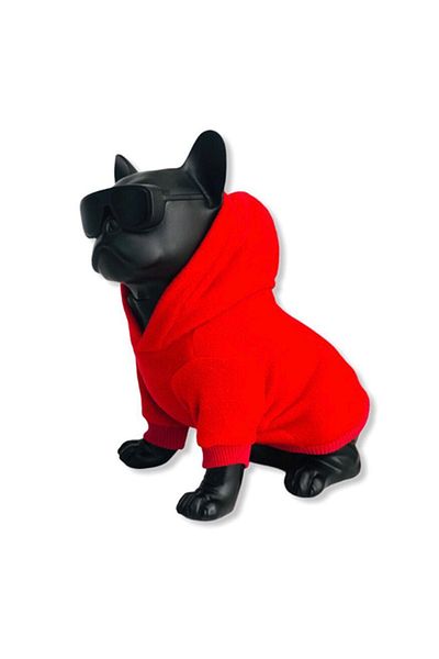 PetiliDünya Red Basic Fleece Hoodie Dog Outfit Cat Outfit