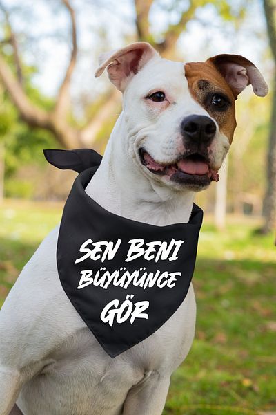 Advantage Cheerful Text Printed Dog Scarf Bandana