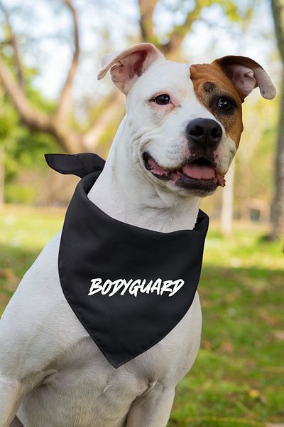 Advantage Bodyguard Printed Dog Scarf Bandana
