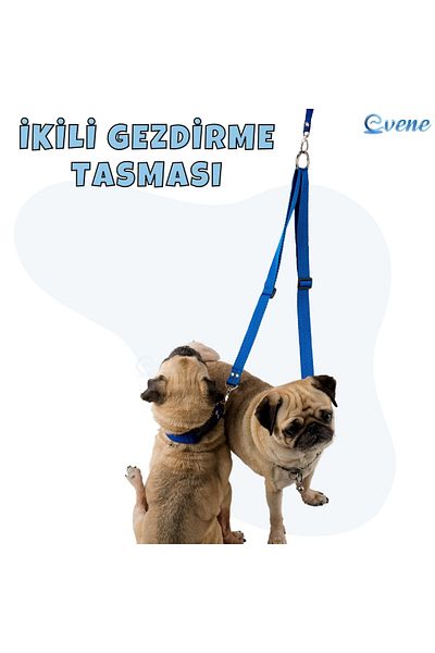 Pandogo Cat Dog Double Walking Collar Blue Multiple Collar Premium Quality Model Amsterdam