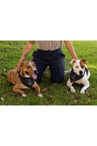 Advantage Printed Dog Scarf Bandana