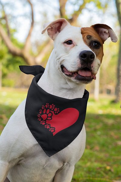 Advantage Printed Dog Scarf Bandana