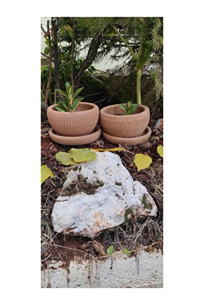 FEEL Toprak Saksı Büyük Boy Desenli Kakkus Saksı Sukulent Saksı 2'li(TABAKLİ ...