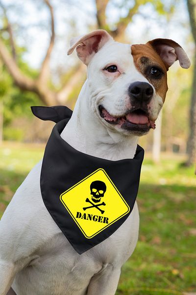 Advantage Danger Dog Scarf Bandana