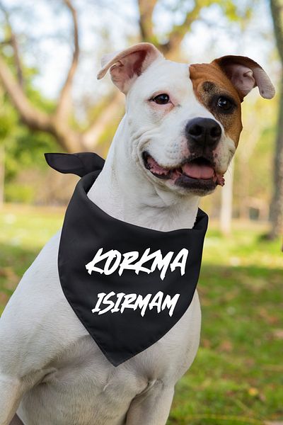 Advantage Cheerful Text Printed Dog Scarf Bandana