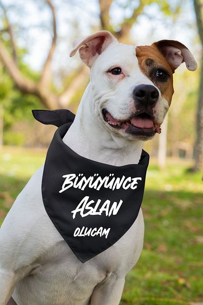 Advantage Cheerful Text Printed Dog Scarf Bandana