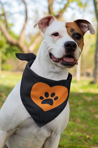 Advantage Printed Dog Scarf Bandana
