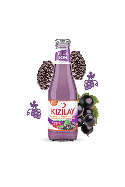 Kızılay Karadut Ve Frenk Üzümü Aromalı Maden Suyu 200 Ml X 24 Ad