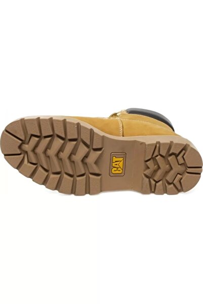 Caterpillar Cat Clovıs Honey