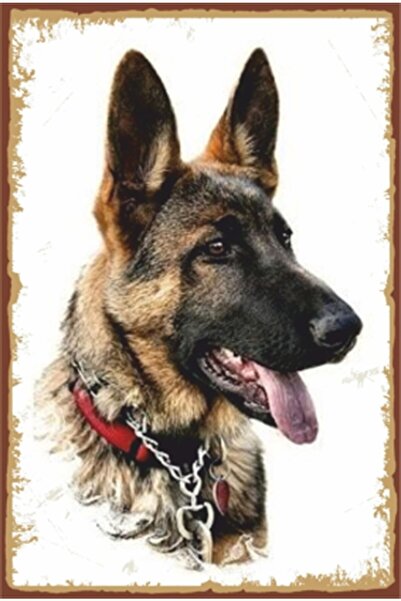 Dog Retro Wooden Poster