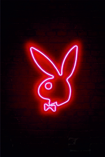 En Güzel Günde Playboy - Neon Led Işıklı Dekoratif Duvar Aydınlatması 40*26 Cm