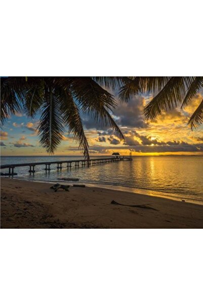 EkoDekor 3 Boyutlu Duvar Kagitlari Gün Batımı Ve Palmiyeler Deniz Manzara Duvar Kağıdı Kanvas Tek Parca