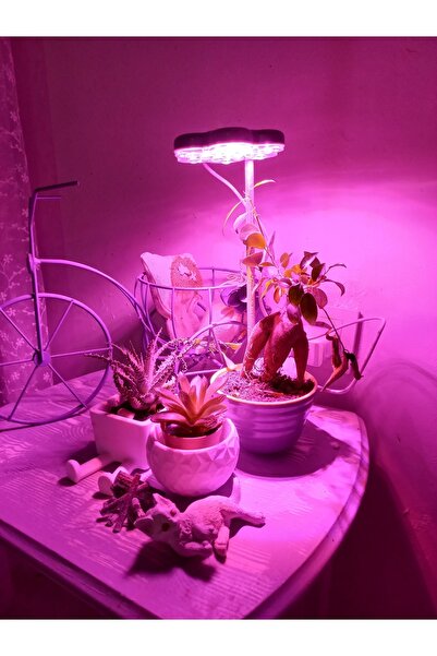 WOLFMAR Orkide Geliştirme Lambası Hassas Bitkiler Için Usb 5v 6w Full Spektrum