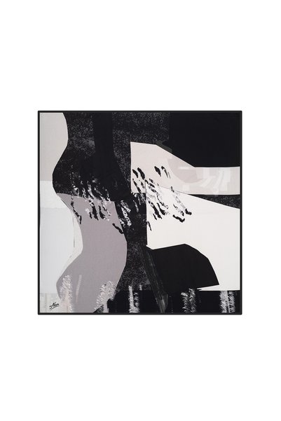 Aker Women's Black Scarf - 8608795911