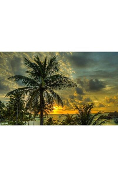 EkoDekor 3boyutluduvarkagitlari Deniz Ve Palmiye Manzaralı Duvar Kağıdı Kanva...