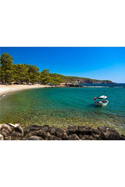 EkoDekor Yeşil Sahil Deniz Manzara Duvar Kağıdı Kanvas Tek Parca