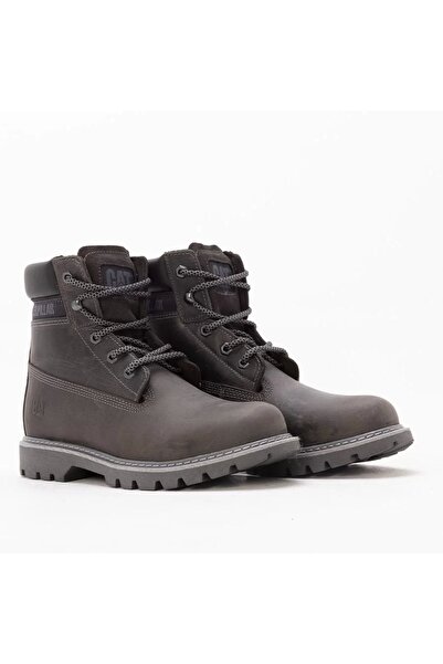 Caterpillar Cat Golden Dark-grey Bot